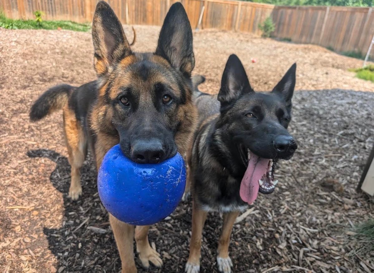 Daycare